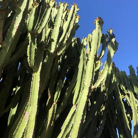 Villa Balcon Del Amanecer Fuerteventura *
