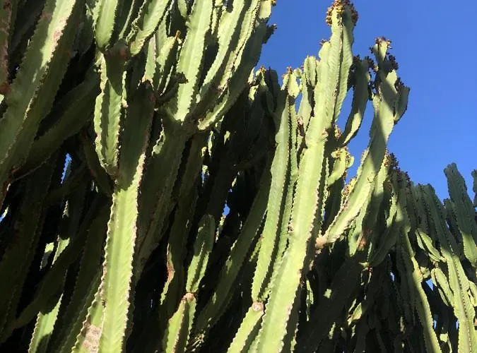 빌라 Balcon Del Amanecer Fuerteventura *