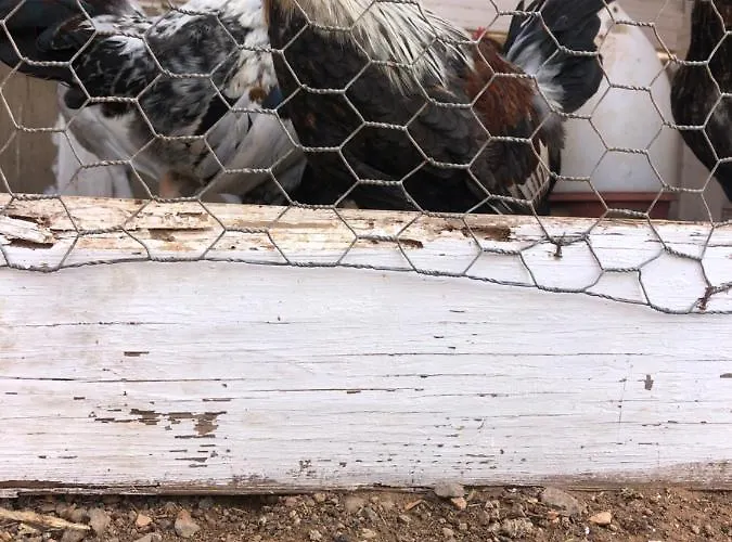 Balcon Del Amanecer Fuerteventura *